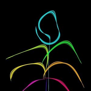 Meet your Posher, Connie